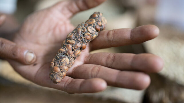 World's Most Expensive Coffee Is Chemically Different Because It's Literally Poop