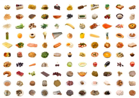 10 by 12 icons of different foods used in the food choice survey