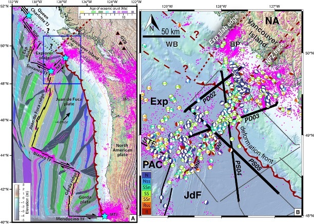 Schematic of the studied area
