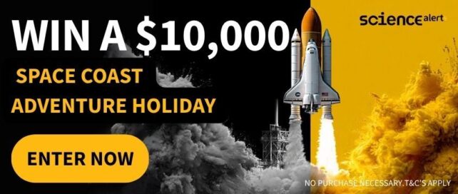 Mid Article Promo Launch