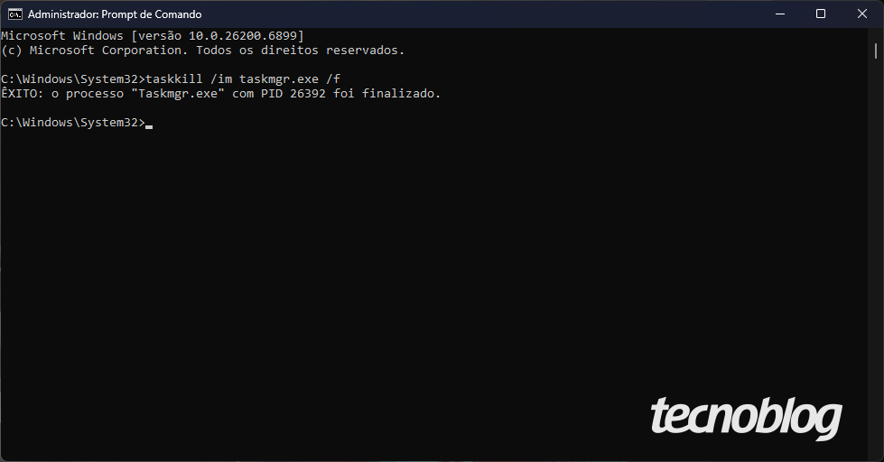 Imagem mostra uma captura de tela com o prompt de comando do Windows 11 aberto