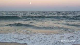 A fase da Lua impacta diretamente na maré e no comportamento de alguns animais