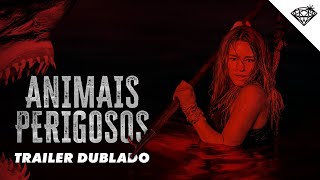 Vídeo incorporado do YouTube