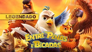 Vídeo incorporado do YouTube