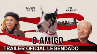 Vídeo incorporado do YouTube