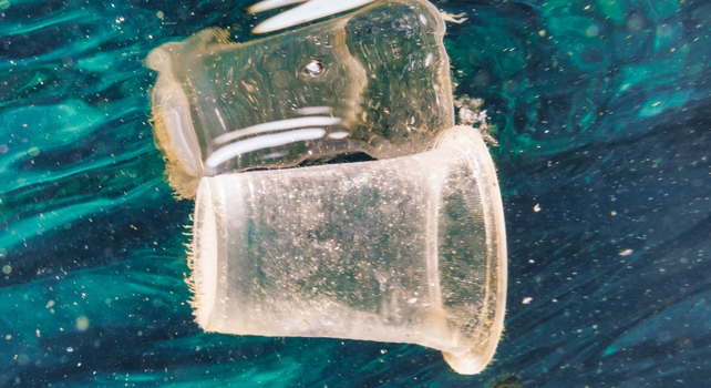 plastic cup in the ocean