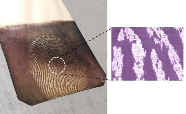 'Holy Grail' Forensics