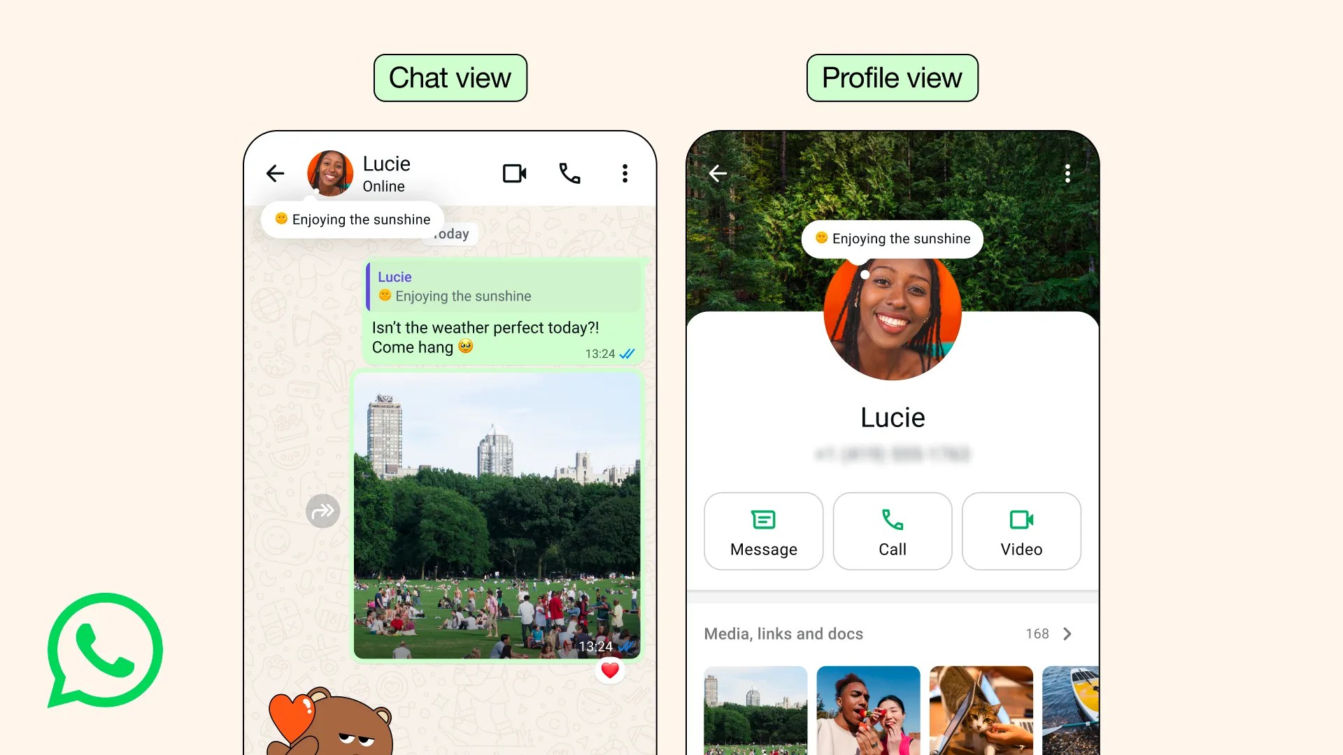 a screenshot showing "chat view" and "profile view" in WhatsApp.