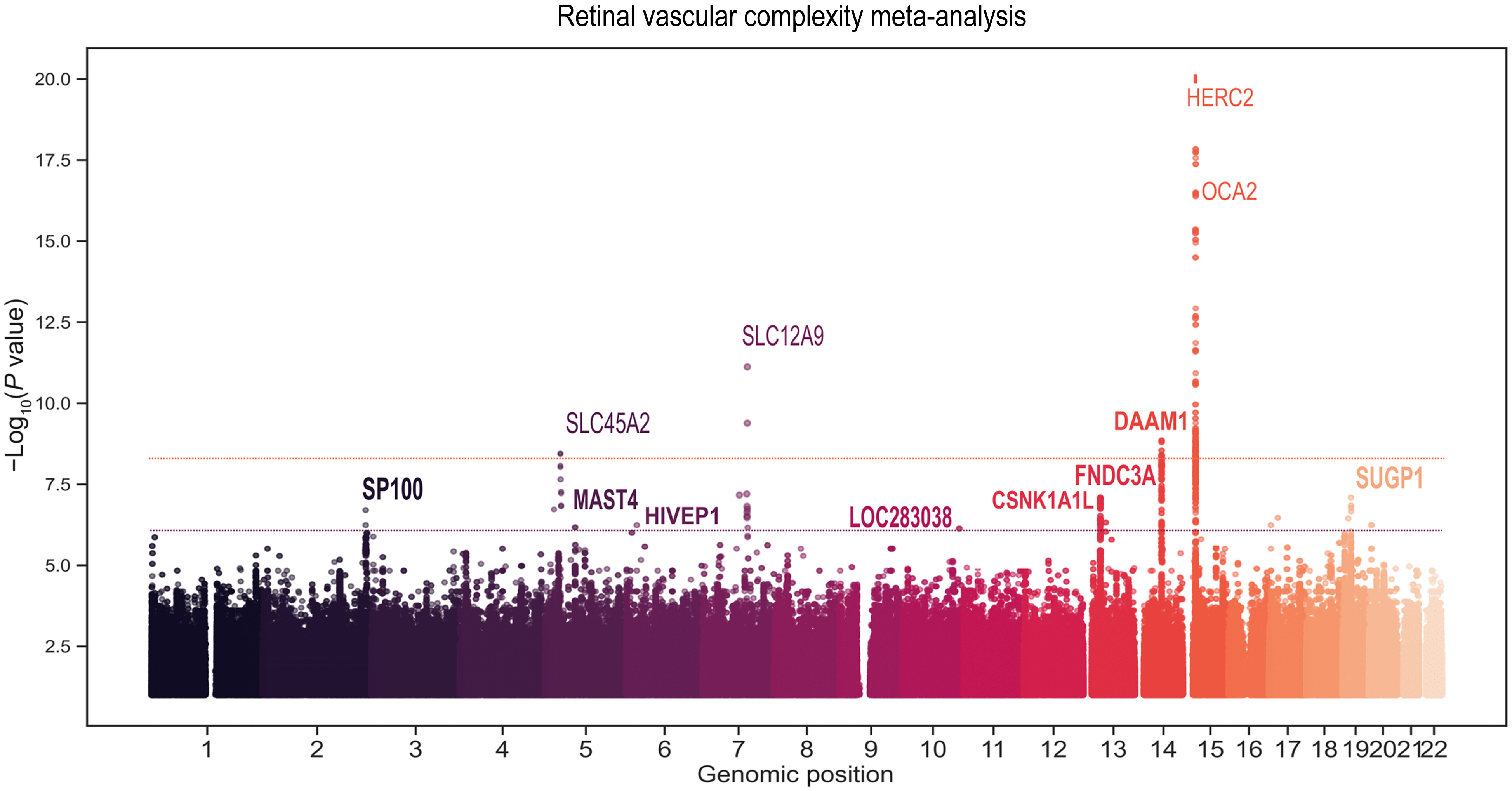 Eye gene chart