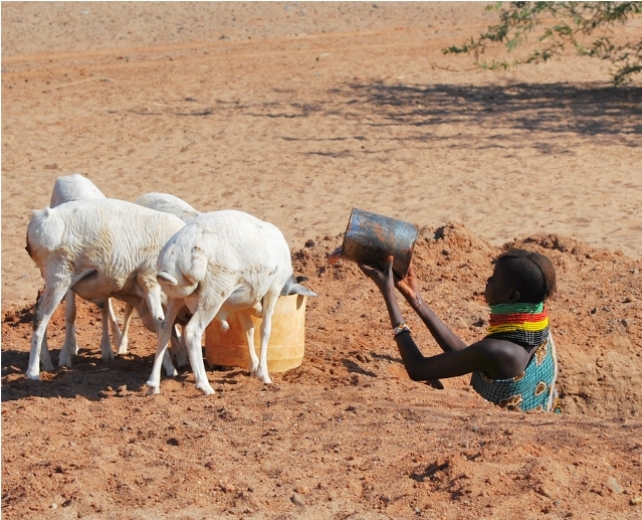 Local Kenyan women in a hole up to her underarms bailing water for goats