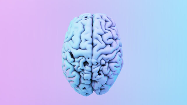 Blue brain on pink and blue background