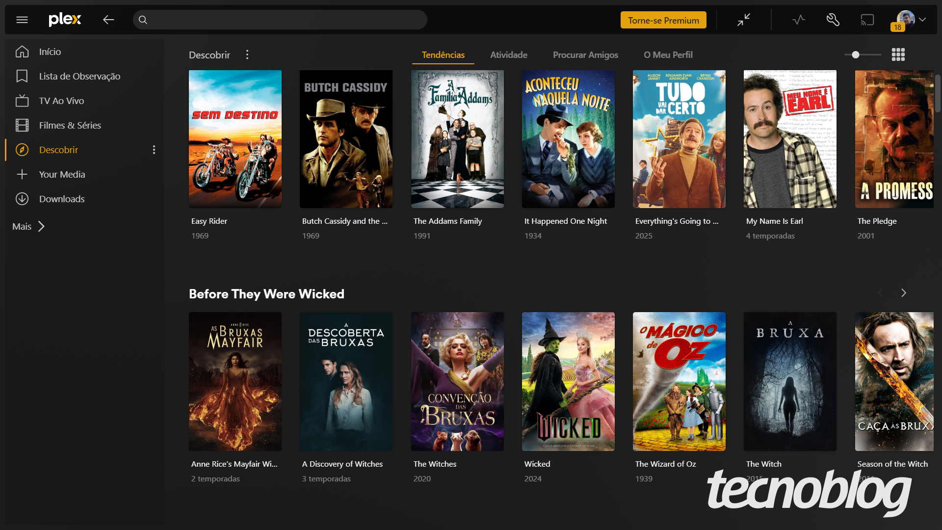 Captura de tela mostra filmes recomendados na aba "Descobrir" do aplicativo Plex para Windows. Na parte inferior direita, o logotipo do "tecnoblog" é visível.