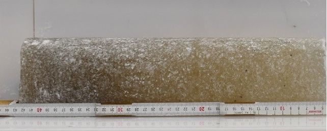 An ice core lies horizontal on a white surface with a tape measure in front. The core is slightly dark on the left end and a lighter beige colour on the right. It has a spotted appearance due to air bubbles trapped inside.