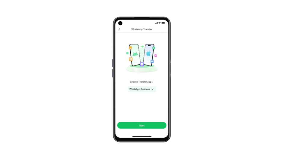 Captura de tela de um aplicativo de transferência de dados do WhatsApp. A tela inicial, intitulada "WhatsApp Transfer", mostra uma ilustração de dois smartphones (Android e iPhone) trocando dados. Há um menu suspenso para "Choose Transfer App" (Escolher Aplicativo de Transferência) com a opção "WhatsApp Business" selecionada. Um botão verde "Start" (Iniciar) está na parte inferior.