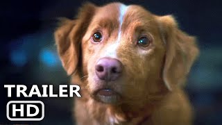 Vídeo incorporado do YouTube