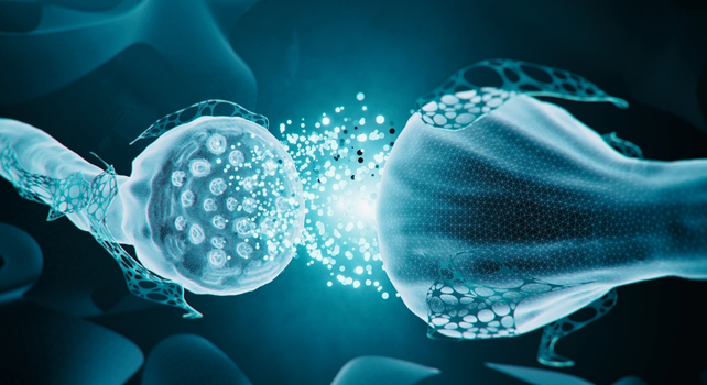 illustration of a synapse