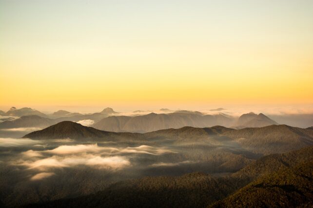 A mountain range with low clouds, pictured in soft, yellow-orange light.