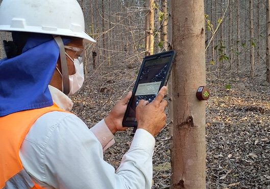 Estágio da Eldorado