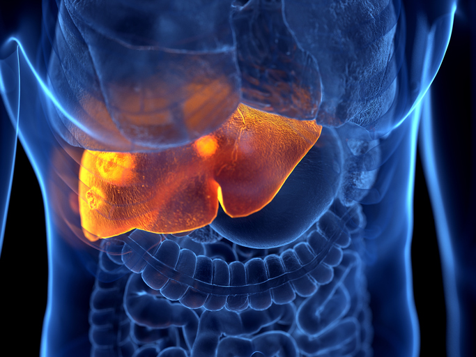 Glowy gold liver in blue outlined torso