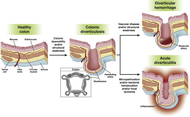 Infographic with text