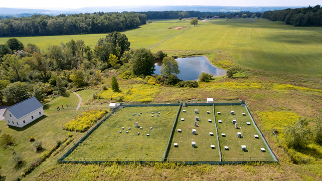 Open field labs