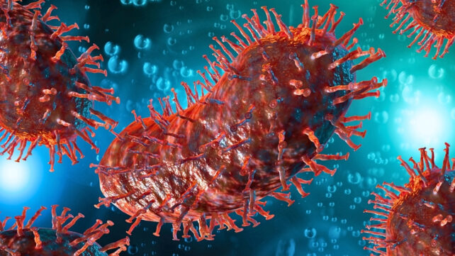 illustration of the rabies virus