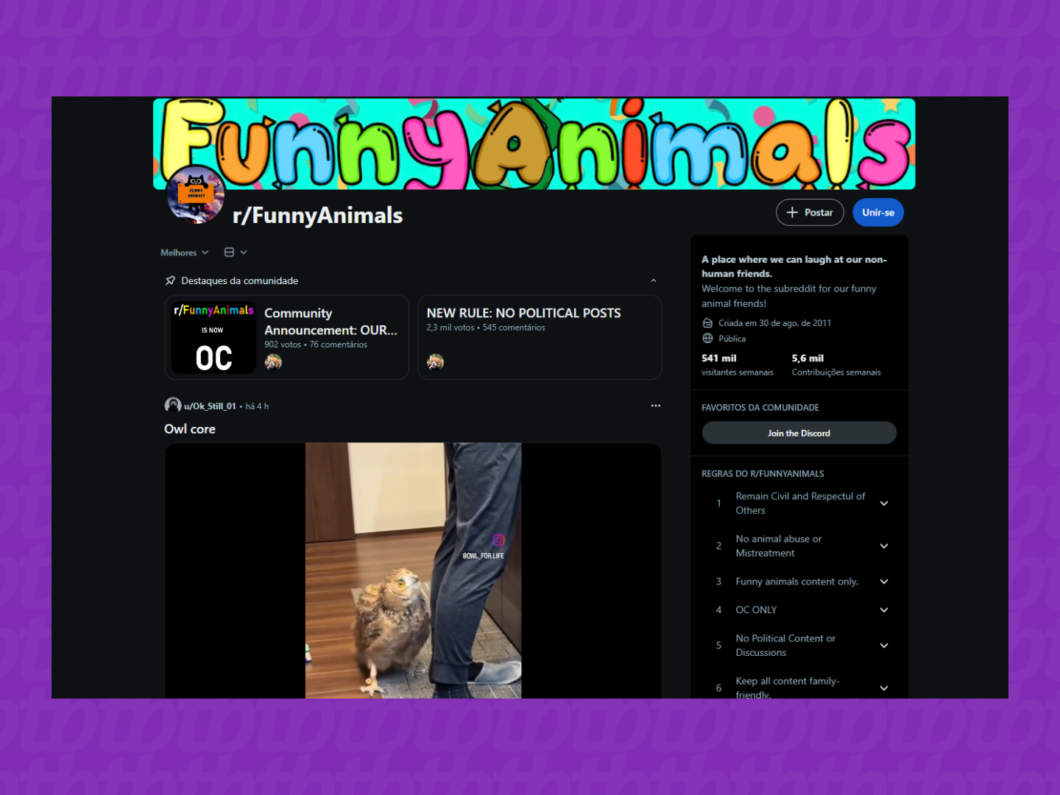 captura de tela do subreddit Funny Animals
