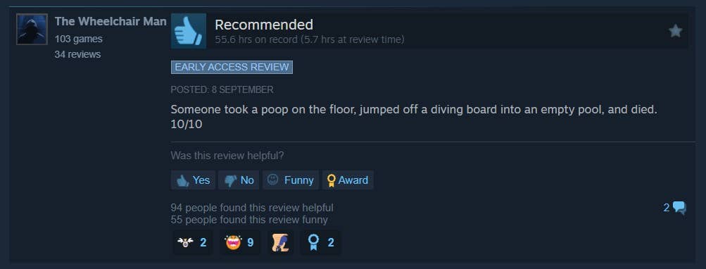 Video game review on Steam