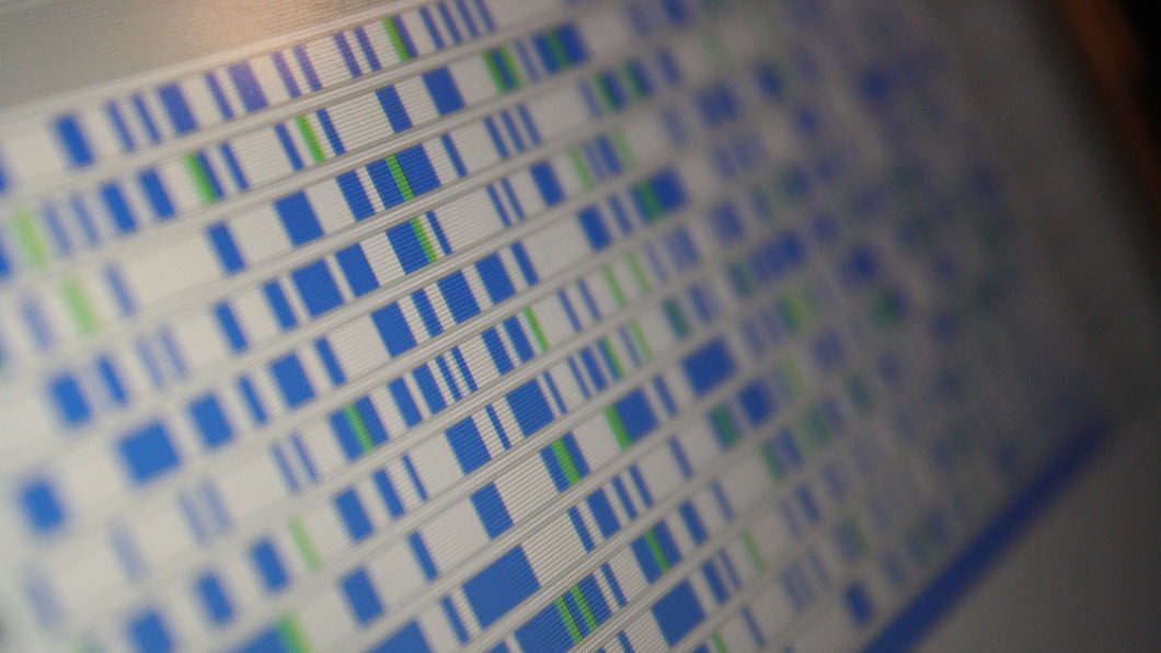 uTorrent baixando torrent com muitos peers