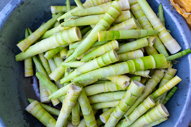 Bamboo shoots