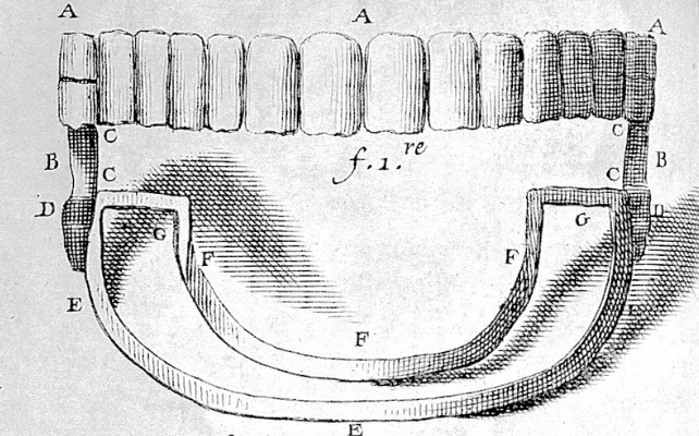illustration from fauchard's book of dentistry