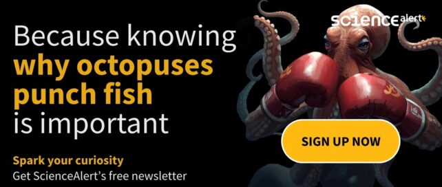 Subscribe to ScienceAlert's free fact-checked newsletter