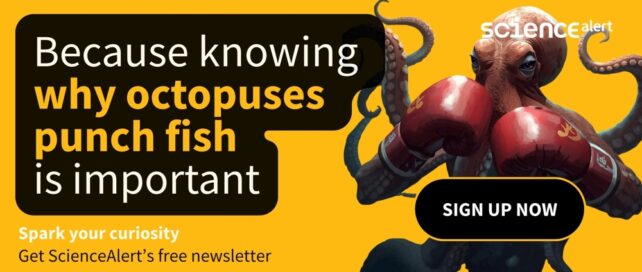 Subscribe to ScienceAlert's free fact-checked newsletter