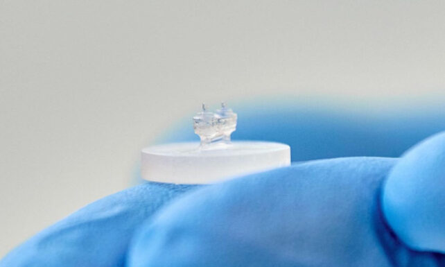 A tiny transparent device is held by a blue-gloved hand