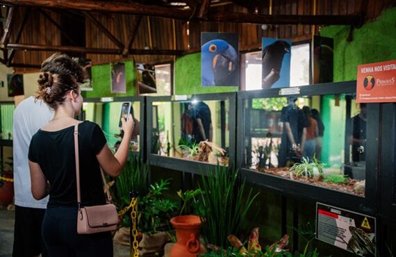 protagonistas no campo