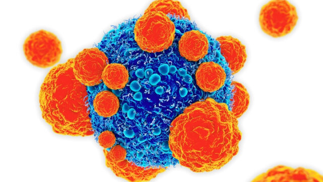 Illustration of orange T cells attacking a blue cancer cell