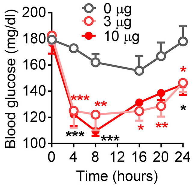 Metformin injection chart