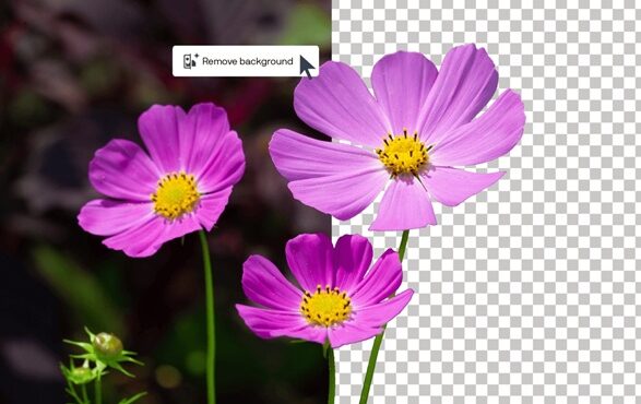 CorelDRAW Graphics Suite 2026