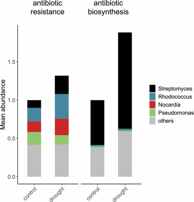 Study Finds Droughts Create The Ideal Conditions For Antibiotic-Resistant Bacteria