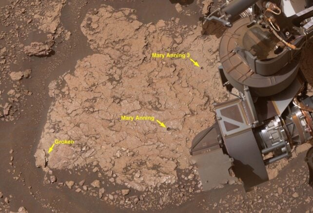 Curiosity Found New Building Blocks of Life on Mars in a Landmark Experiment