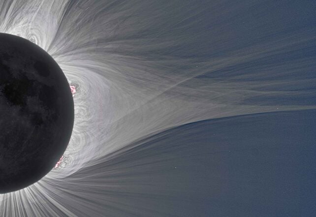 The Sun Just Did Something Nobody Expected And It Kept Going For 19 Days