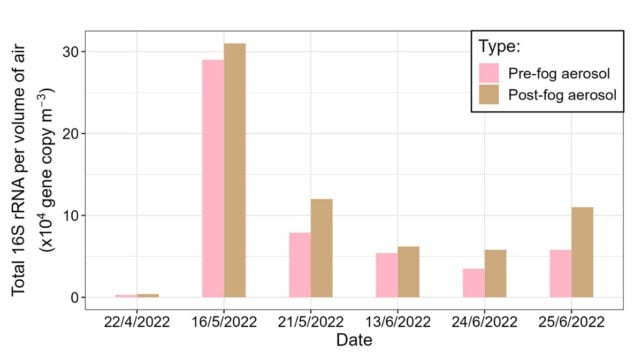 pink bars show air sampled before fog, and the brown bars show air sampled after fog. On all six dates, the brown bar is higher than the pink bar, meaning the post-fog air contained more bacterial 16S rRNA gene copies, a common marker used to estimate bacterial abundance