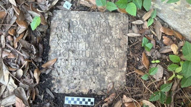 Mysterious Stone in US Backyard Turned Out to Be an Archaeological Treasure