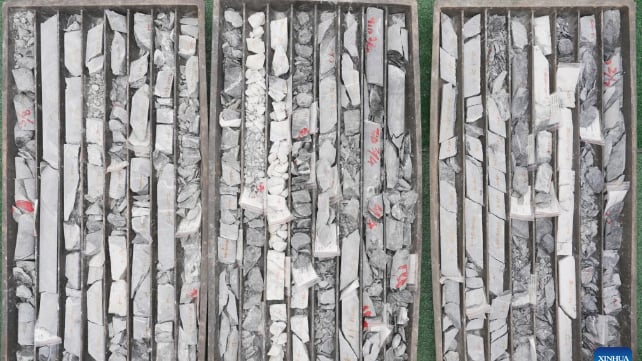 Drilled rock samples, which are believed to contain valuable gold deposits