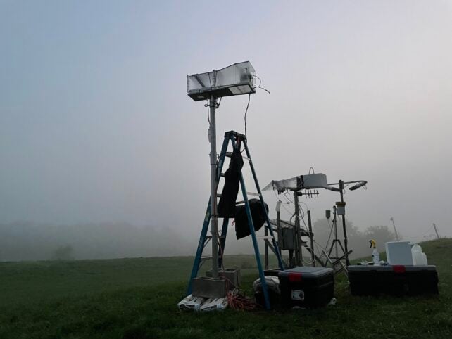 Scientists Discover Life Lurking And Growing in The Fog
