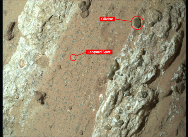 Annotated Perseverance rover image of a Martian rock surface, with red labels marking an olivine crystal and a small