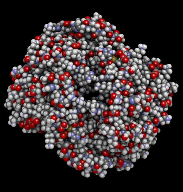 A 3D molecular model of hemoglobin, shown as a dense cluster of red, blue, white, and gray atoms against a black background.