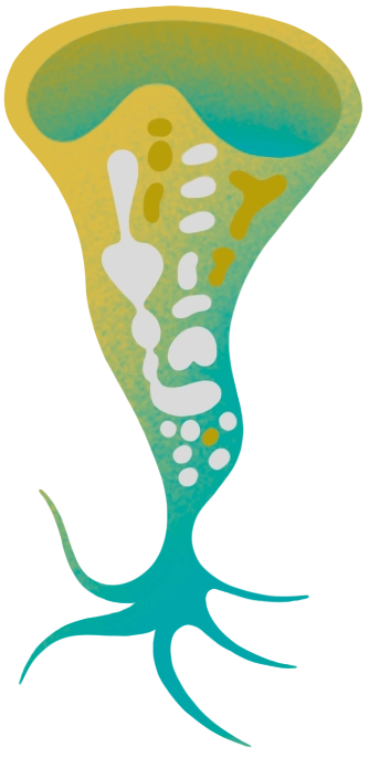 An illustration of a Stentor