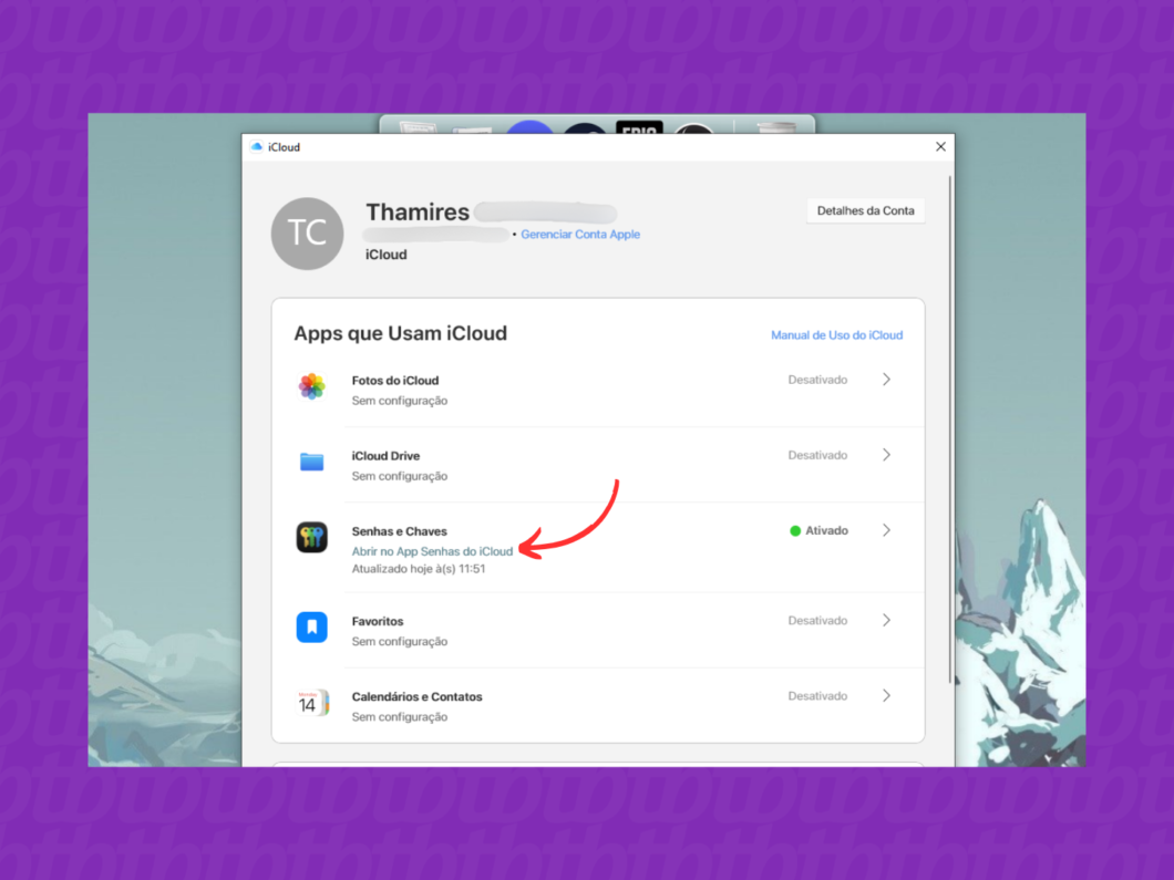 Acessando o app Senhas do iCloud via PC com Windows