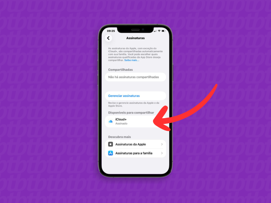 Adicionando o "iCloud+" ao compartilhamento familiar